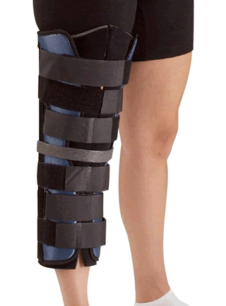 1165PP IMMOBILIZER KNEE UNIVERSAL 24IN TRI-PANEL CANVAS ( CS 1 ), Bees ...